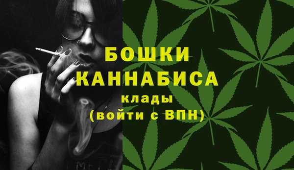 дмт Надым