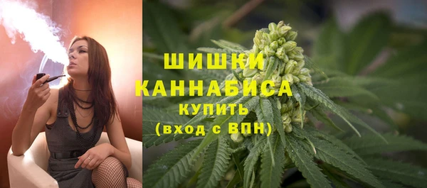 дмт Надым