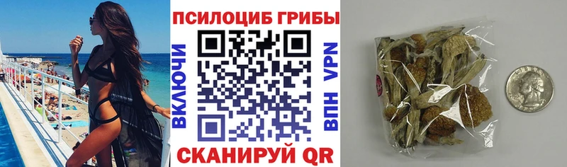 Галлюциногенные грибы ЛСД  Брюховецкая 